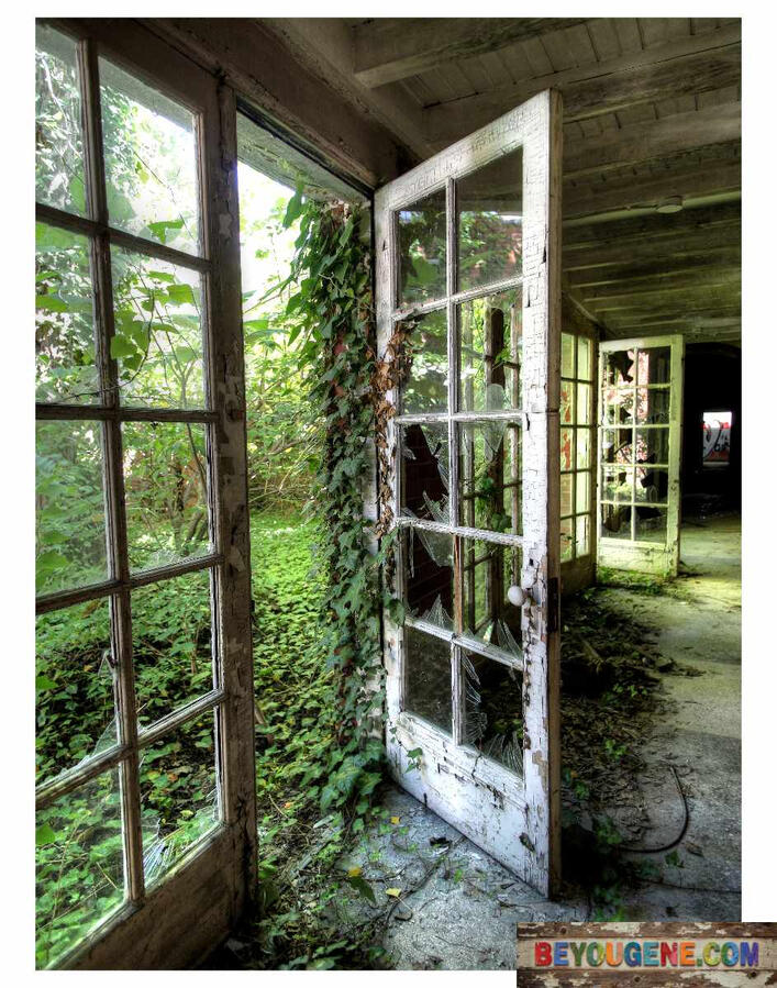 White Doors, Green Vines