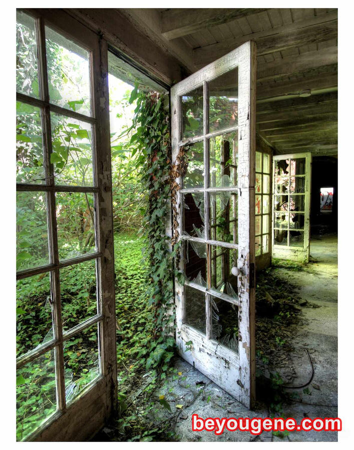 White Doors, Green Vines